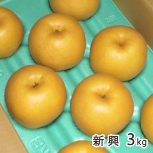 新潟産 日本梨 新興 3kg（5〜8玉） 樋口農園/新興梨/ギフトにも！/のし無料/