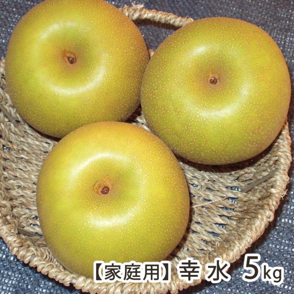 【家庭用】幸水 5kg（10〜16玉）/樋口農園/送料無料