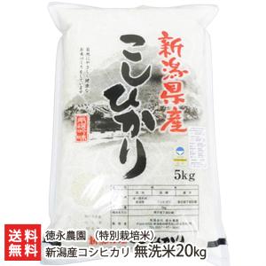 【令和5年度米】新潟産 特別栽培米（減農薬・減化学肥料）コシヒカリ 無洗米20kg（5kg袋×4）/徳永農園/送料無料 父の日 お中元｜niigata-shop