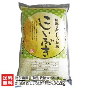 【令和5年度米】新潟産 特別栽培米（減農薬・減化学肥料）こしいぶき 無洗米2kg/徳永農園/送料無料 父の日 お中元｜niigata-shop