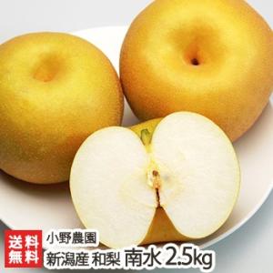 新潟県産 日本梨 南水2.5kg（6〜7個位） 小野農園/ギフトにも！/のし無料/送料無料 父の日 お中元｜niigata-shop