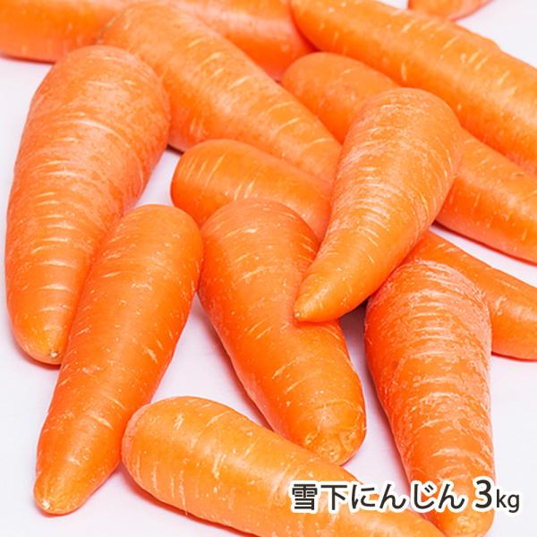 雪下にんじん 3kg/フジミヤ - 津南観光物産館/送料無料
