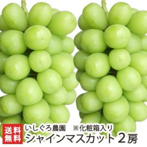 新潟県産 シャインマスカット 2房 化粧箱入/後払い不可/ギフトにも！/のし無料/送料無料｜niigata-shop