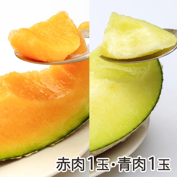 メロン赤肉1玉・青肉1玉/新潟産/特別栽培認証/情熱野菜の太田農園/送料無料