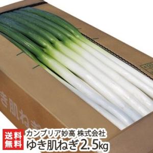 niigata-shop_0067-001-01