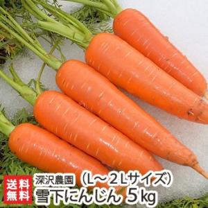 雪下にんじん（L〜2Lサイズ）5kg/深沢農園/ お中元