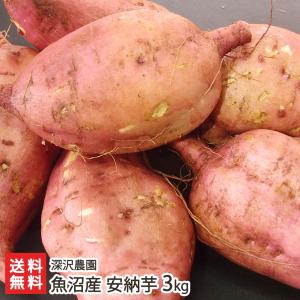 魚沼産 低温熟成さつまいも 安納芋(あんのういも)通常サイズ...