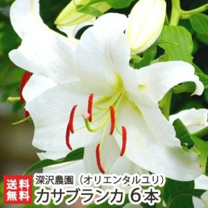 魚沼産 オリエンタルユリ カサブランカ 6本 深沢農園 生花 切り花 お供え花 仏花 父の日にも ギフトにも のし無料 送料無料 0068 003 04 新潟直送計画 通販 Yahoo ショッピング