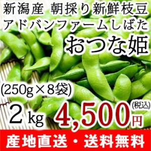 新潟直送計画 おつな姫 枝豆 茶豆 Yahoo ショッピング