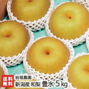 新潟県産 日本梨 愛宕5kg（5〜9個位） 岩福農園/送料無料 : 新潟直送