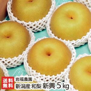 産地直送梨(正規品) ⬛ 愛宕梨 ⬛ ４.５㎏ ⬛ 新潟県産 日本梨 愛宕5kg（5〜9個位） 岩福農園/送料無料 : 新潟直送