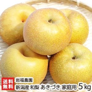 新潟県産 日本梨 家庭用 あきづき5kg（7〜12個位） 岩福農園/送料無料
