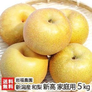 新潟県産 日本梨 家庭用 新高5kg（5〜9個位） 岩福農園/送料無料