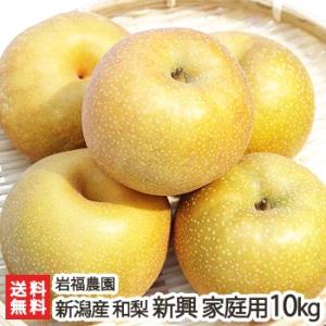 新潟県産 日本梨 家庭用 新興10kg（12〜20個位） 岩福農園/送料無料