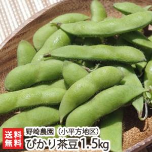 新潟産 ピカリ茶豆 1.5kg（1箱）/えだまめ ちゃまめ/野崎農園/朝採り枝豆/黒崎地区/産地直送/後払い不可/送料無料｜niigata-shop