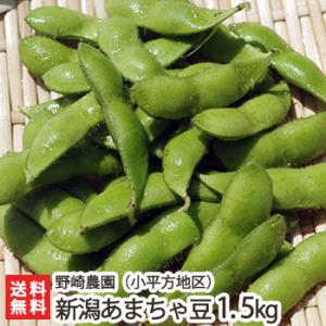 新潟産 あまちゃ豆 1.5kg/えだまめ ちゃまめ/野崎農園/朝採り枝豆/黒崎地区/産地直送/後払い不可/送料無料