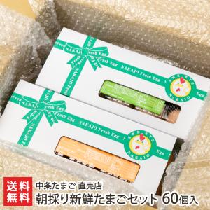 廃！朝採り新鮮たまごセット60個入り（天使のための葉酸たまご×30個・太陽のビタミンたまご×30個）/中条たまご 直売店/後払い決済不可/送料無料