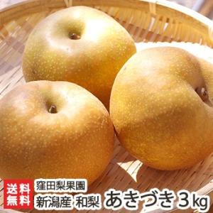 新潟産 窪田梨果園の日本梨 あきづき 3kg（6〜8玉）/ギフトにも！/のし無料/送料無料