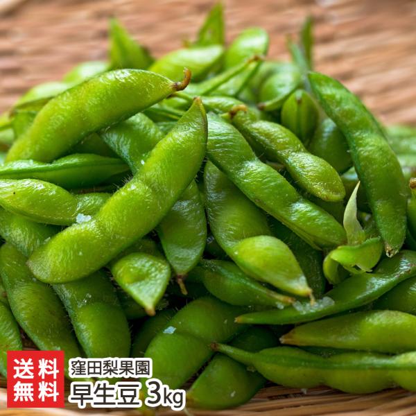 早生豆 3kg/枝豆 えだまめ/窪田梨果園/送料無料