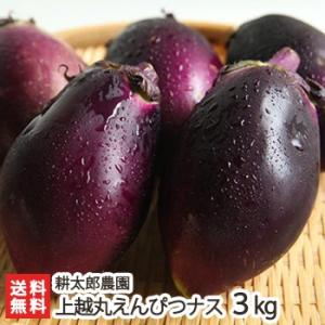 新潟 上越丸えんぴつナス 3kg（15個入）耕太郎農園/送料無料 父の日 お中元｜niigata-shop