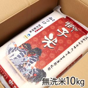 【令和5年度米】特別栽培米（減農薬・減化学肥料）新潟産コシヒカリ（従来品種）無洗米10kg（5kg×2・鷹の爪入り）/ファーム小栗山/送料無料