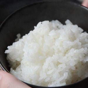 【令和7年度米】特別栽培米(無農薬・無化学肥料...の詳細画像5
