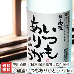 おちょこ1個付き!越乃白雁 吟醸酒 いつもありがとう 720ml(4合)中川酒造/日本酒/清酒/辛口/淡麗/越淡麗/地酒/ギフトにも!/のし無料/送料無料