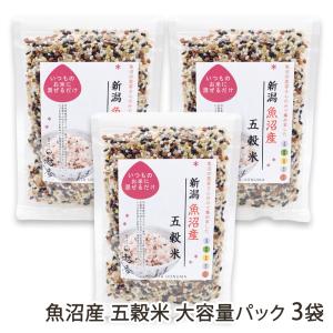 魚沼産 五穀米 大容量パック 3袋/株式会社 越季/