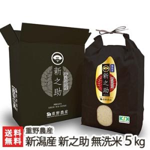 令和7年度米】新潟県産コシヒカリ（従来品種）玄米10kg（10kg×1袋）/仙