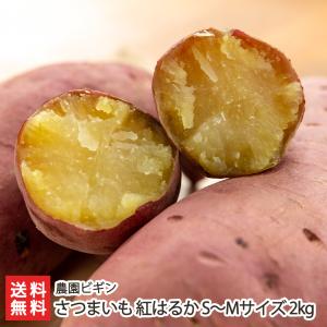 さつまいも 紅はるか S〜Mサイズ 2kg 農園ビギン/送料無料 父の日 お中元｜niigata-shop