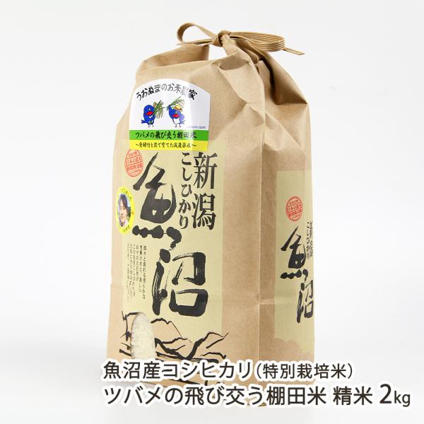 【令和7年度米】特別栽培米（減農薬・無化学肥料）魚沼産 コシヒカリ ツバメの飛び交う棚田米 精米2k...