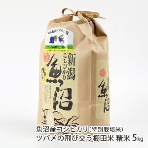 コシヒカリ 【令和7年度米】特別栽培米（減農薬・無化学肥料）魚沼産
