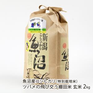コシヒカリ 【令和7年度米】特別栽培米（減農薬・無化学肥料）魚沼産