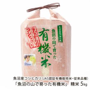 コシヒカリ 令和7年産 無農薬 玄米 無化学肥料 送料無料 玄米 2kg