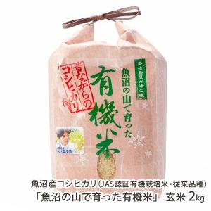 コシヒカリ 【令和8年度新米】JAS認証有機栽培米（無農薬・無化学肥料