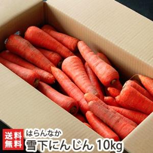 魚沼産 無農薬栽培 雪下にんじん 10kg/はらんなか/送料無料