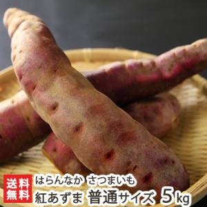 無農薬栽培の甘くて美味しい熟成さつまいも！紅あずま つなん小雪ちゃん 普通サイズ 5kg はらんなか...