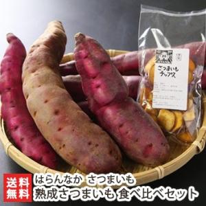 無農薬栽培の甘くて美味しい熟成さつまいも！熟成さつまいも 食べ比べセット（さつまいもチップス付） は...