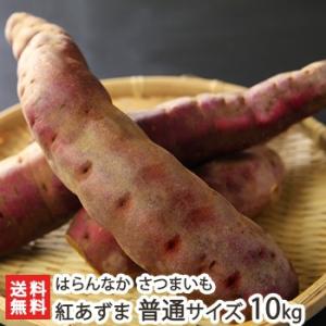 無農薬栽培の甘くて美味しい熟成さつまいも！紅あずま つなん小雪ちゃん 普通サイズ 10kg はらんな...
