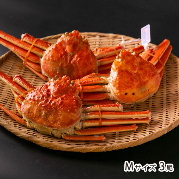 ボイル本ズワイガニ「おけさ蟹」Mサイズ 3尾/後払い決済不可/ファクトリー童夢/送料無料
