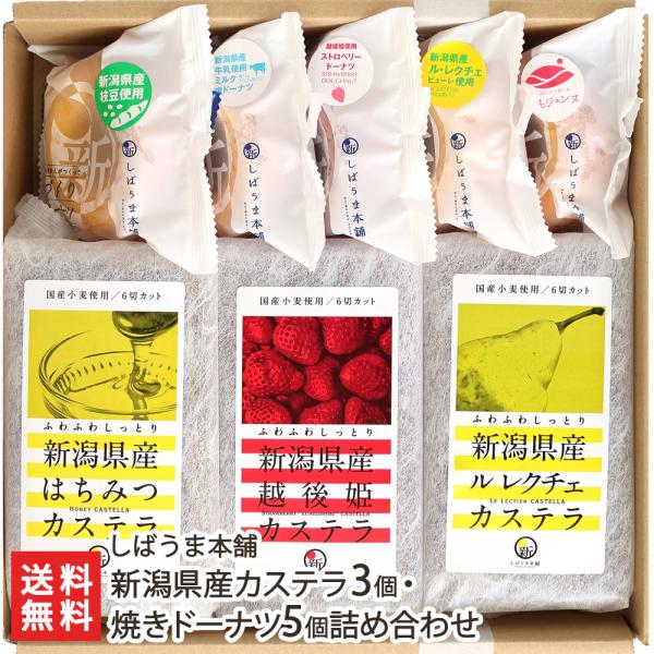 新潟県産カステラ3個・焼きドーナツ5個詰め合わせ/しばうま本舗/送料無料