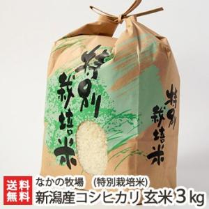 コシヒカリ 【令和8年度新米】南魚沼産コシヒカリ 精米10kg（5kg×2袋