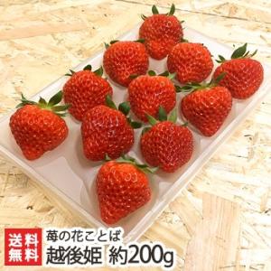 越後姫 1パック （約200g/9〜11粒）※家庭用簡易包装/苺の花ことば/送料無料