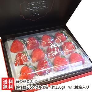 越後姫 シングル1箱（約350g）※化粧箱入り/苺の花ことば/送料無料｜niigata-shop