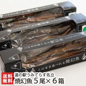 北海道限定 箱付き 長期熟成 ブランデー 仕込み 梅酒 島梟 梅 32年