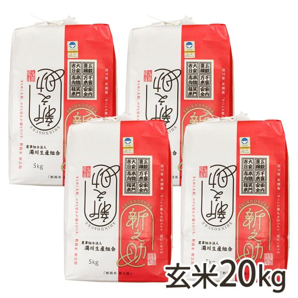 【令和7年度新米】特別栽培米（減農薬・減化学肥料）新潟産 新之助 玄米20kg（5kg×4）/濁川生...