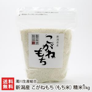 コシヒカリ 【令和7年度米】新潟県産コシヒカリ（従来品種）精米2kg