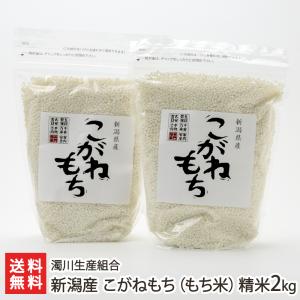 【令和5年度米】新潟産 こがねもち（もち米）精米2kg（1kg×2袋）/濁川生産組合/のし無料/送料無料 父の日 お中元｜niigata-shop