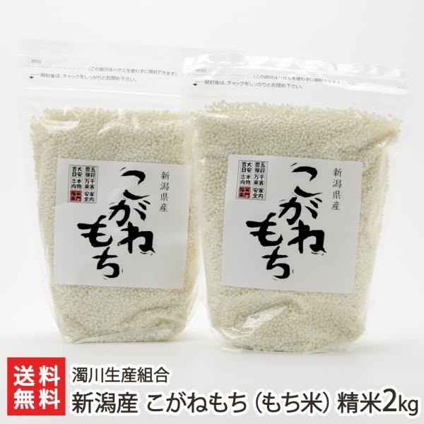 【令和8年度新米】新潟産 こがねもち（もち米）精米2kg（1kg×2袋）/濁川生産組合/のし無料/送...