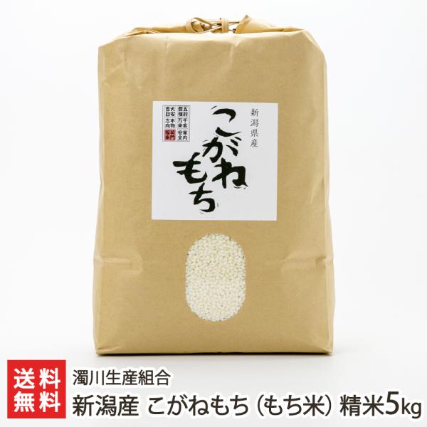 【令和8年度新米】新潟産 こがねもち（もち米）精米5kg/濁川生産組合/のし無料/送料無料